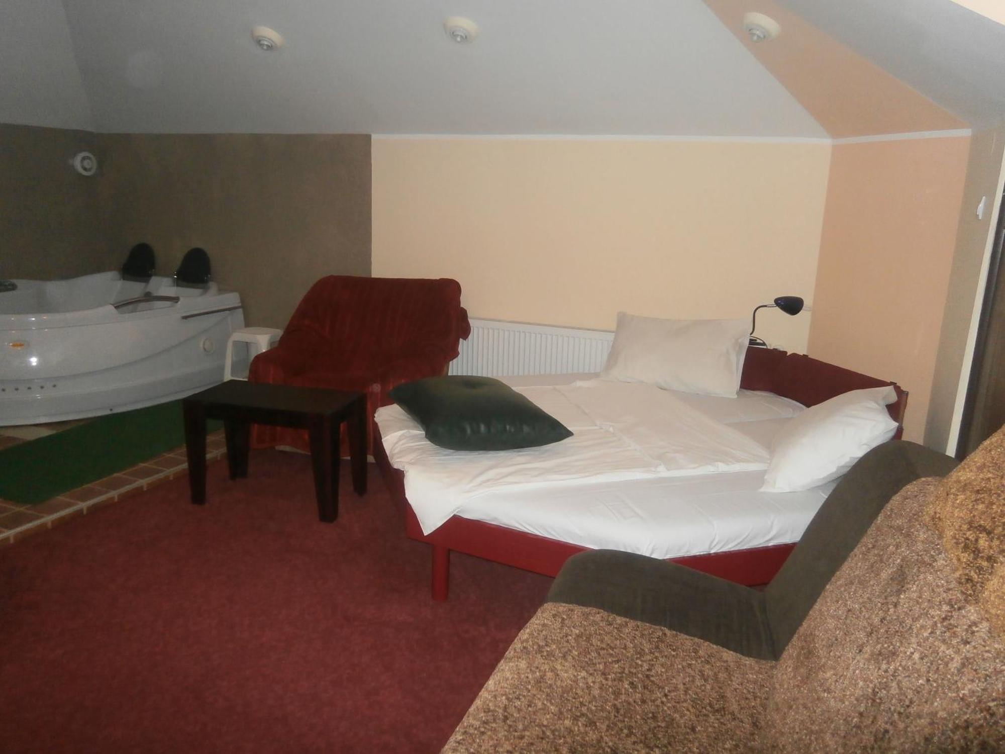 Hotel Vila Mitic Luxx Spa Centar レスコヴァツ 部屋 写真
