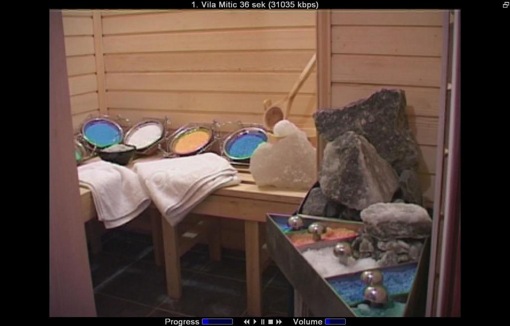 Hotel Vila Mitic Luxx Spa Centar レスコヴァツ エクステリア 写真
