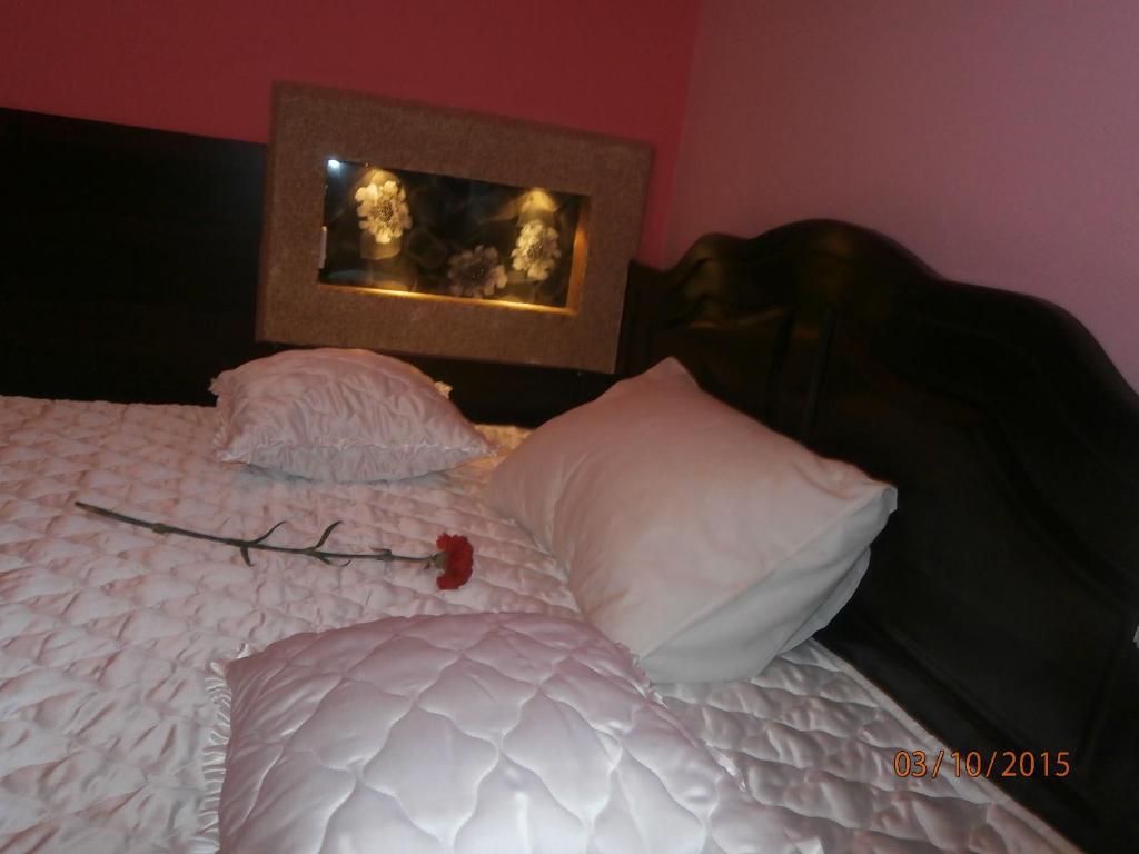 Hotel Vila Mitic Luxx Spa Centar レスコヴァツ エクステリア 写真